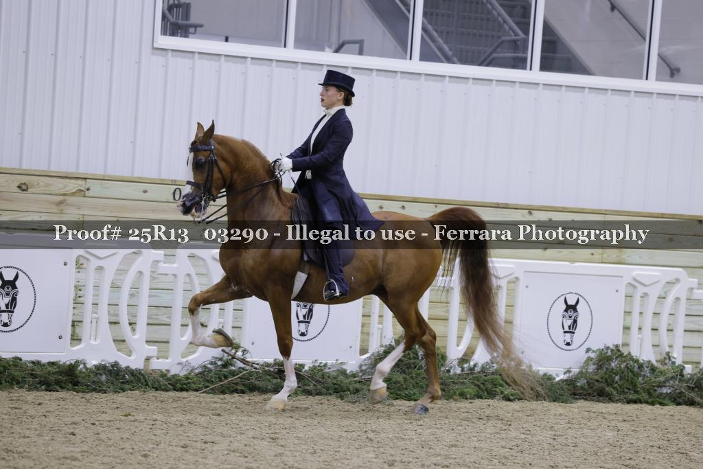 Proof Number 25R13_03290