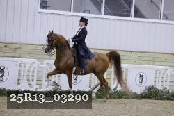 25R13_03290 thumbnail
