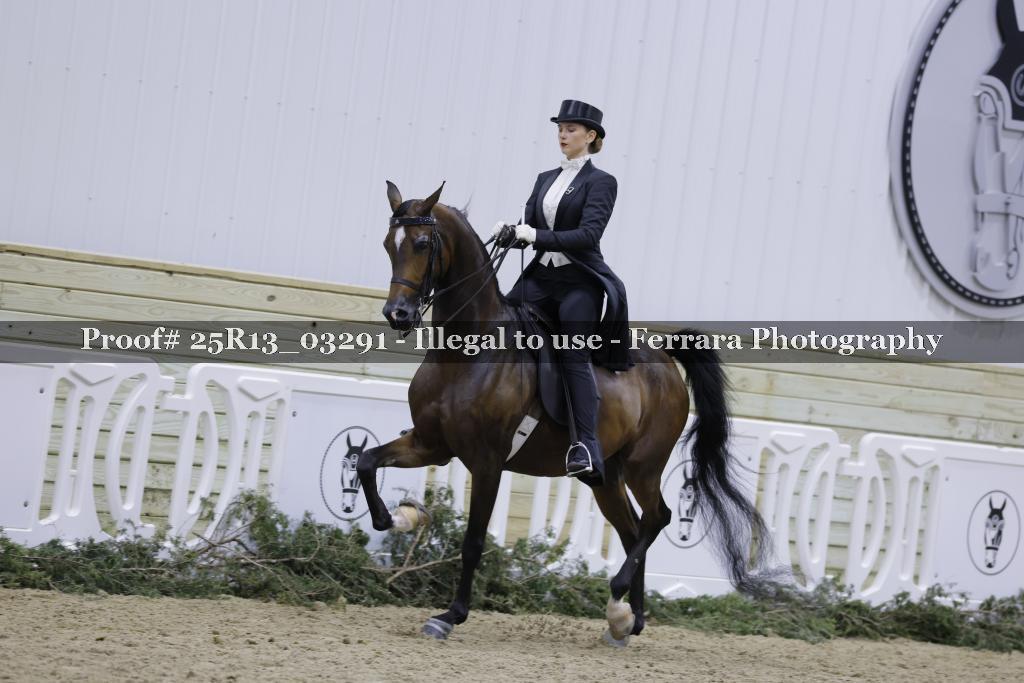 Proof Number 25R13_03291