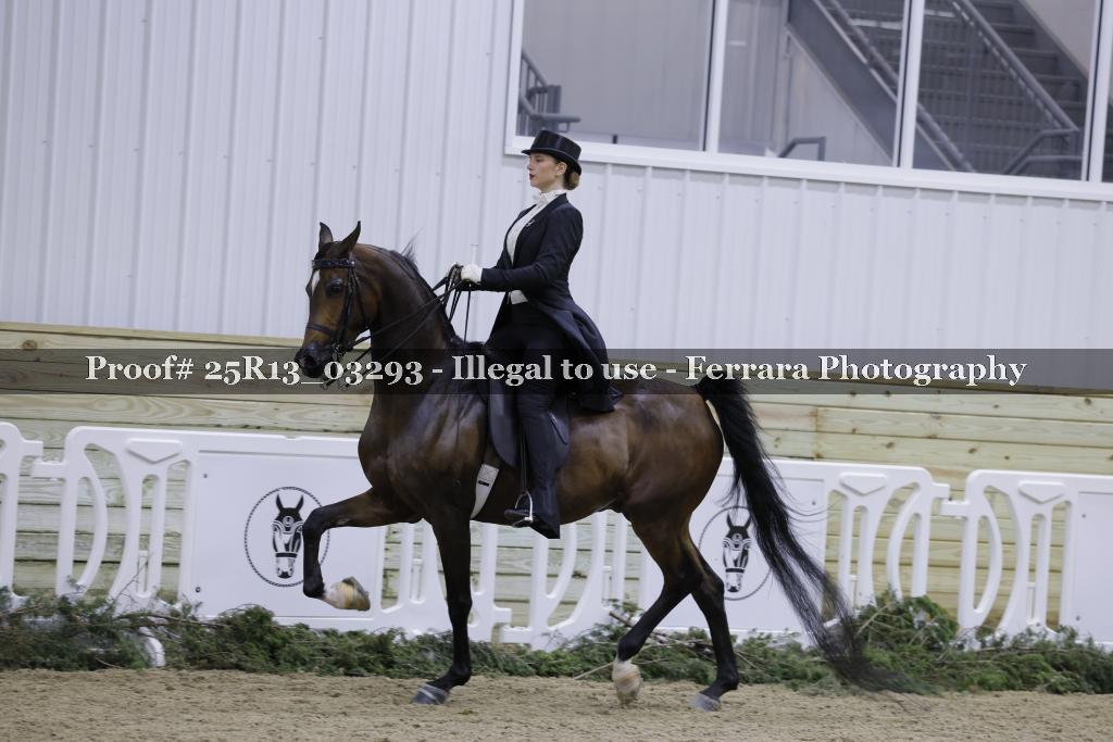 Proof Number 25R13_03293