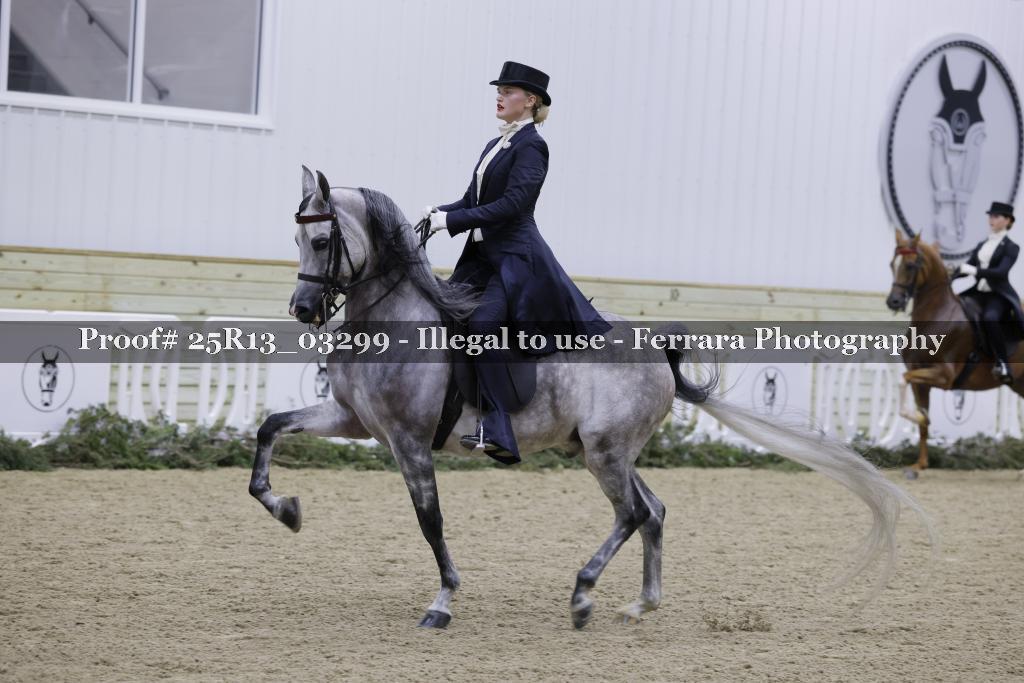 Proof Number 25R13_03299