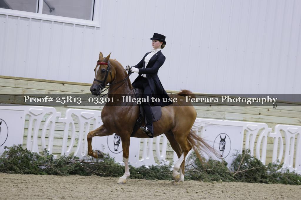 Proof Number 25R13_03301