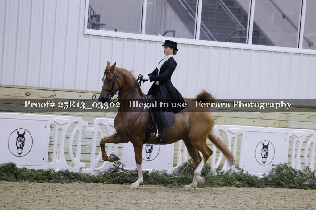 Proof Number 25R13_03302