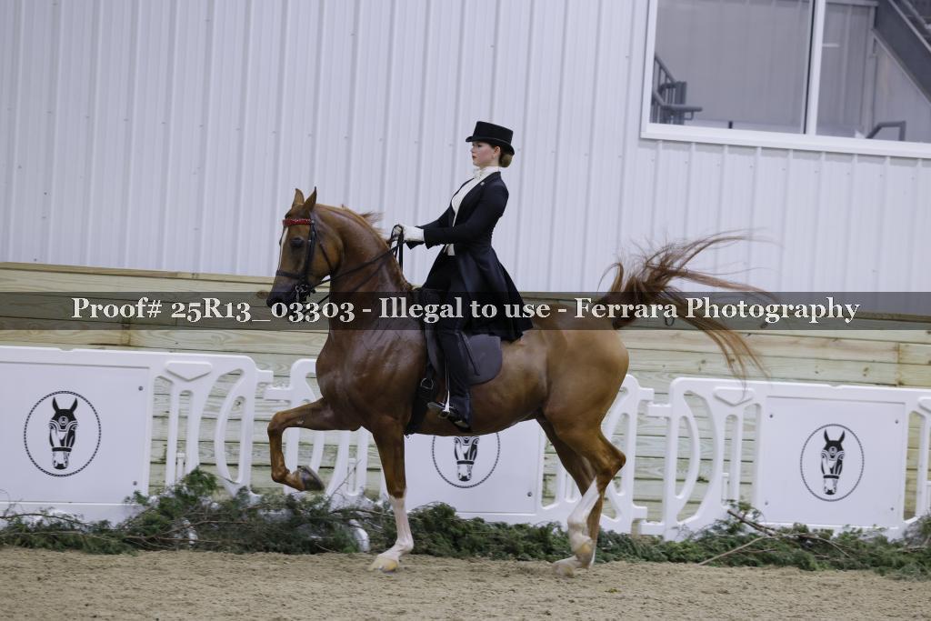 Proof Number 25R13_03303