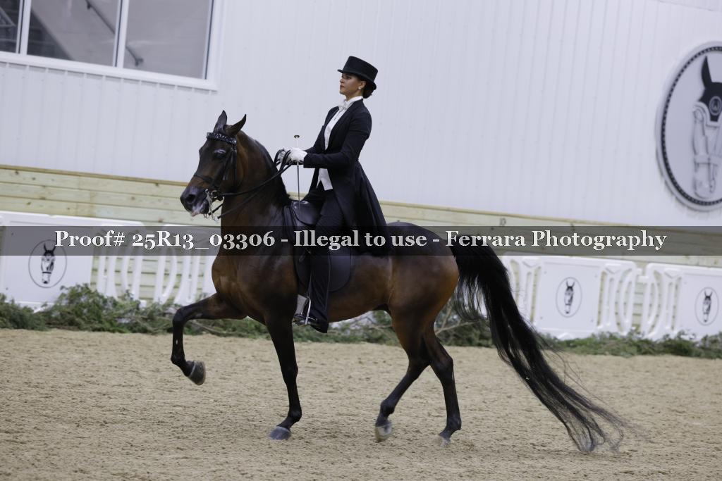 Proof Number 25R13_03306