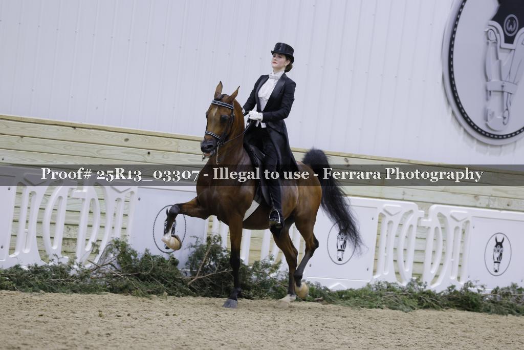 Proof Number 25R13_03307