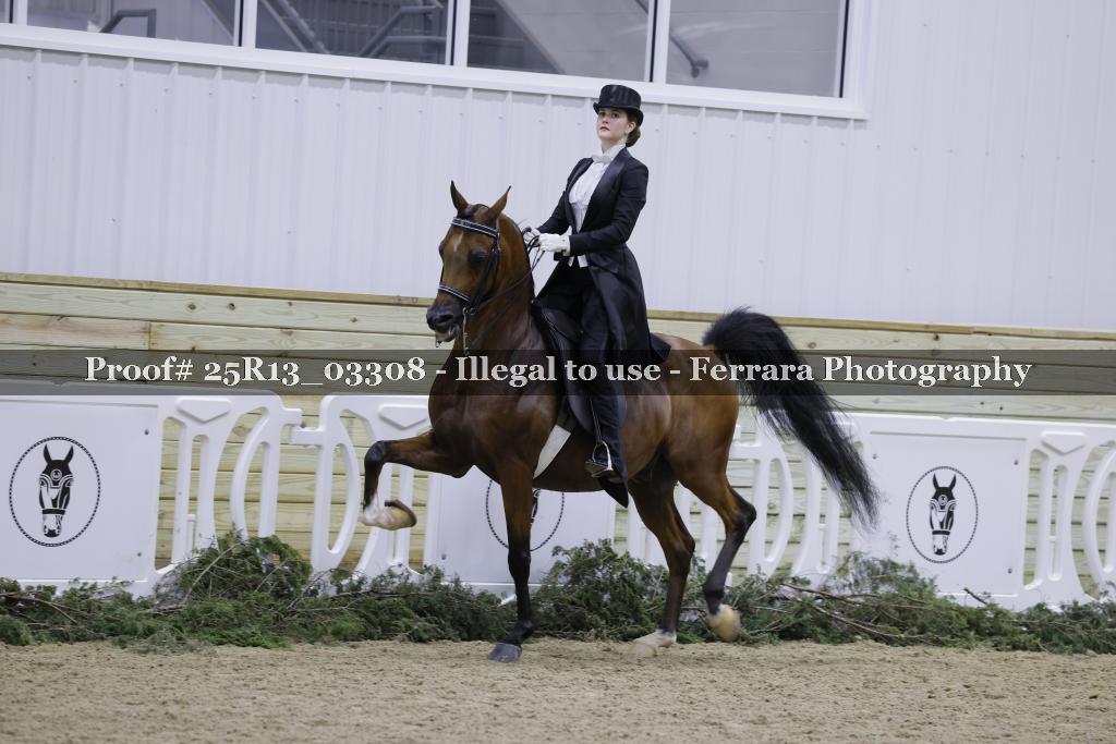 Proof Number 25R13_03308