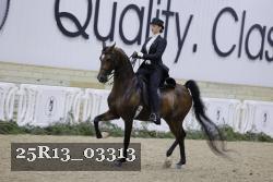 25R13_03313 thumbnail