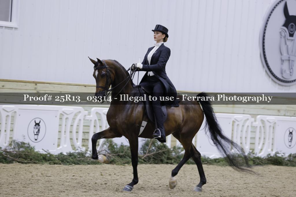 Proof Number 25R13_03314