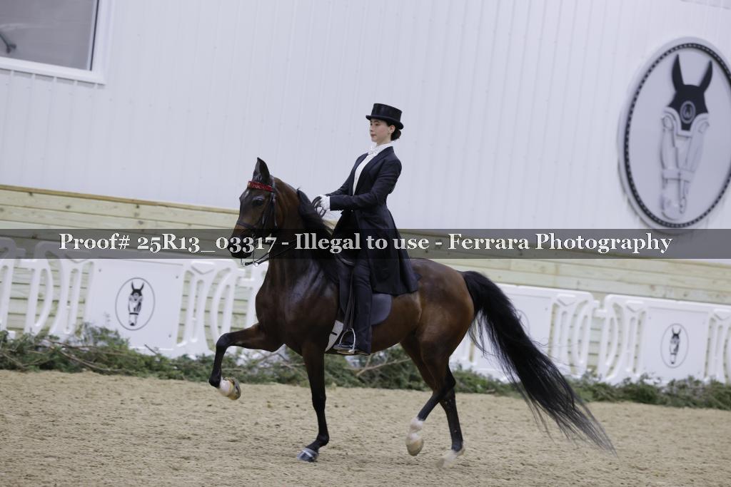 Proof Number 25R13_03317