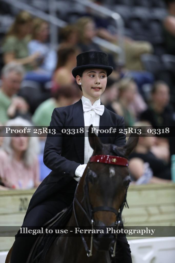 Proof Number 25R13_03318