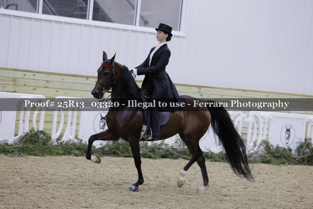 Proof Number 25R13_03320