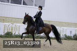 25R13_03320 thumbnail