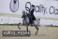 25R13_03322 thumbnail