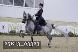 25R13_03323 thumbnail