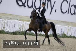 25R13_03324 thumbnail