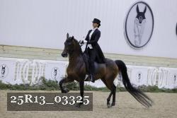 25R13_03325 thumbnail