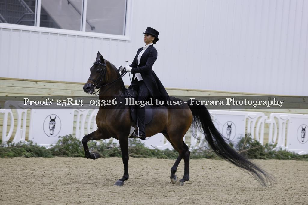 Proof Number 25R13_03326