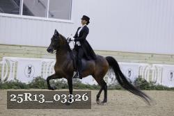 25R13_03326 thumbnail