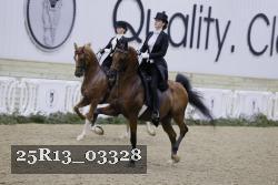 25R13_03328 thumbnail