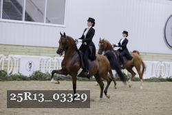 25R13_03329 thumbnail