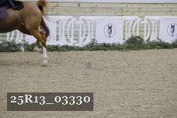 25R13_03330 thumbnail