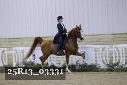 25R13_03331 thumbnail