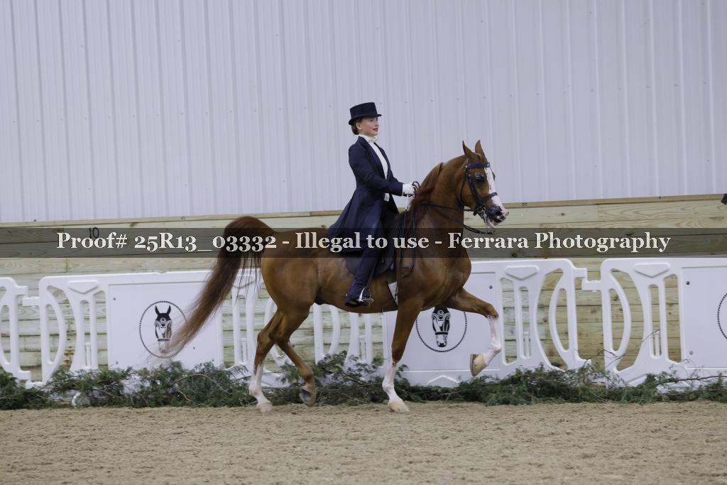 Proof Number 25R13_03332
