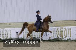 25R13_03332 thumbnail