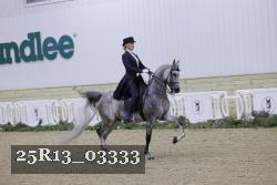 25R13_03333 thumbnail