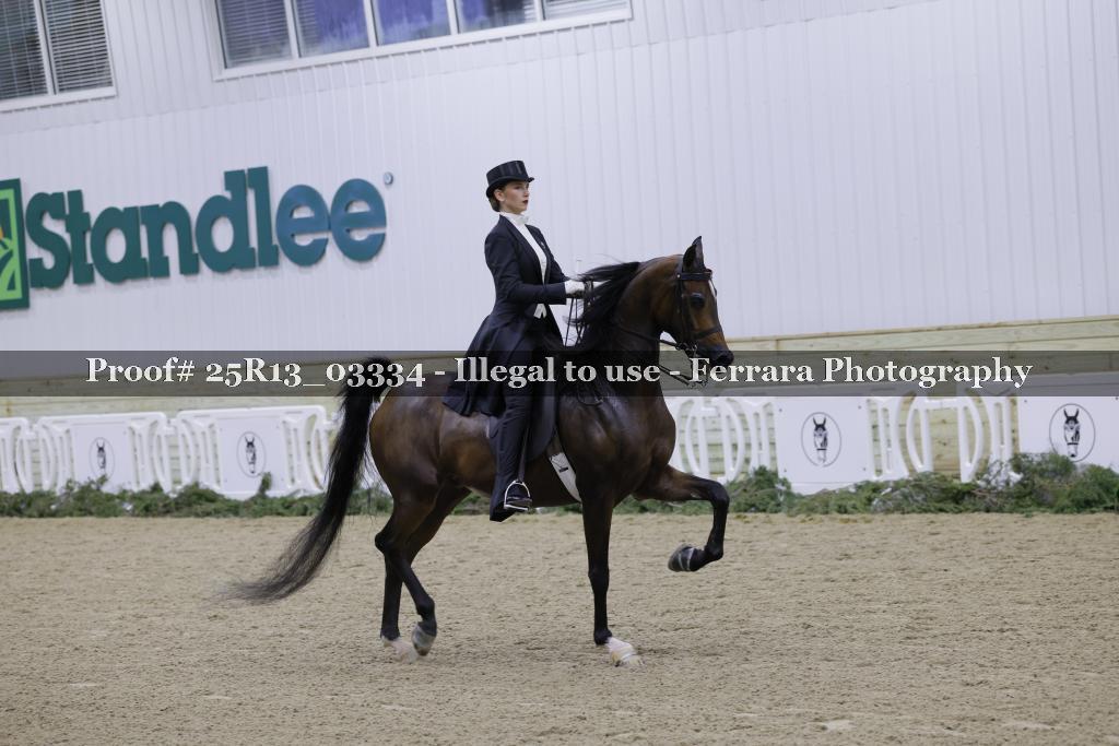 Proof Number 25R13_03334