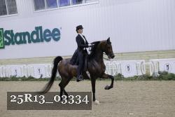 25R13_03334 thumbnail