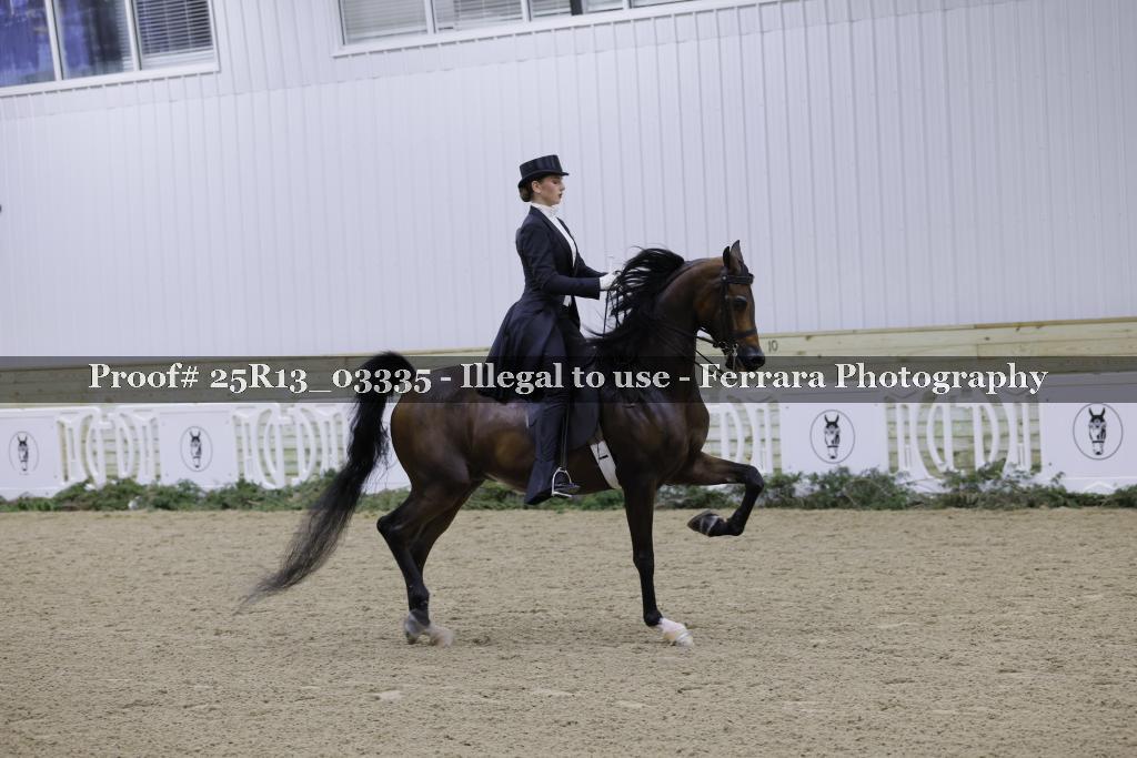Proof Number 25R13_03335