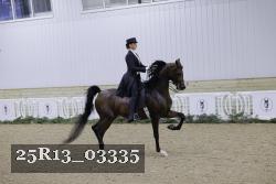 25R13_03335 thumbnail