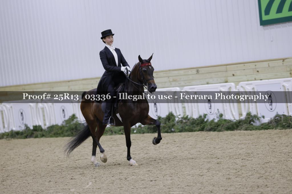 Proof Number 25R13_03336