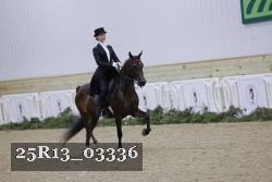 25R13_03336 thumbnail