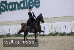 25R13_03337 thumbnail