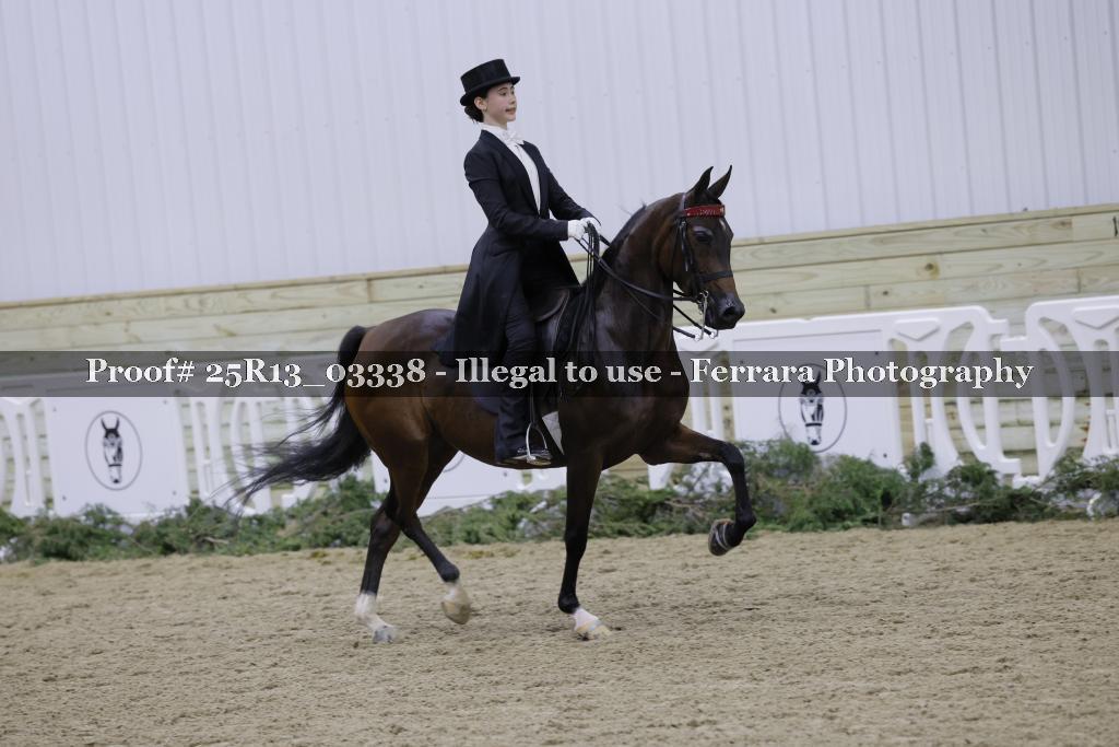 Proof Number 25R13_03338