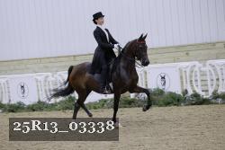 25R13_03338 thumbnail