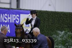 25R13_03339 thumbnail
