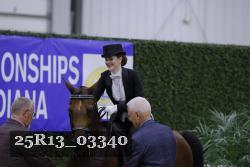 25R13_03340 thumbnail