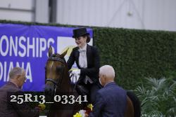 25R13_03341 thumbnail