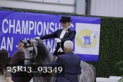 25R13_03349 thumbnail