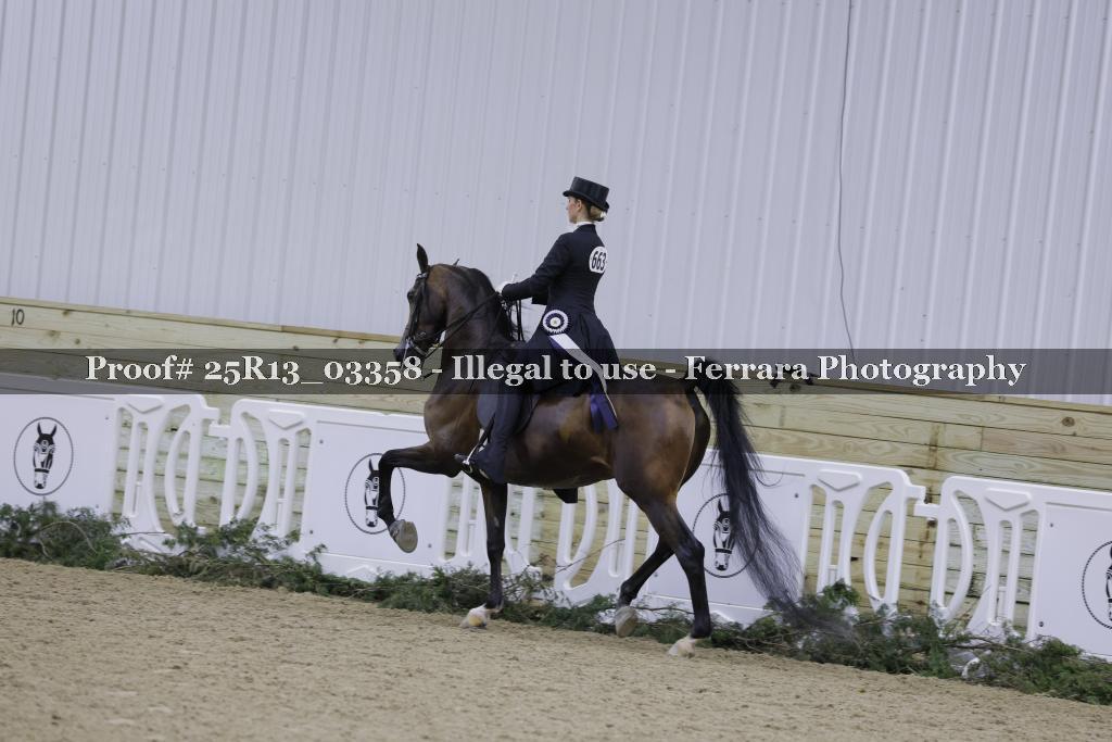Proof Number 25R13_03358
