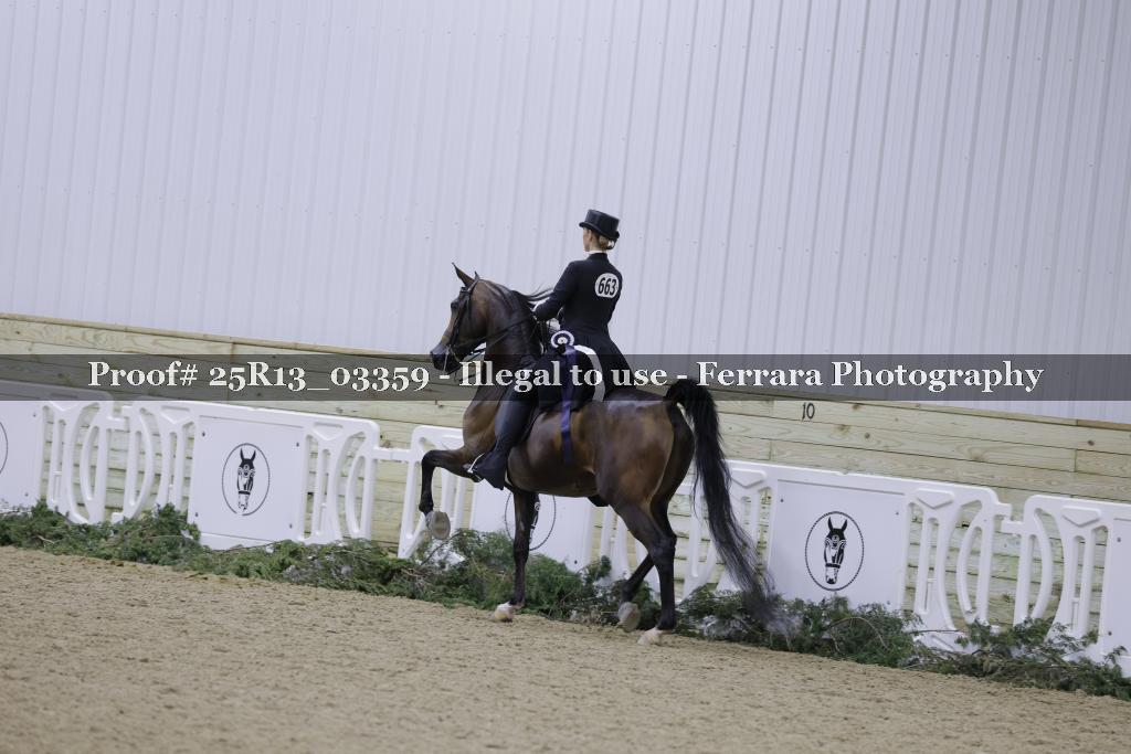 Proof Number 25R13_03359