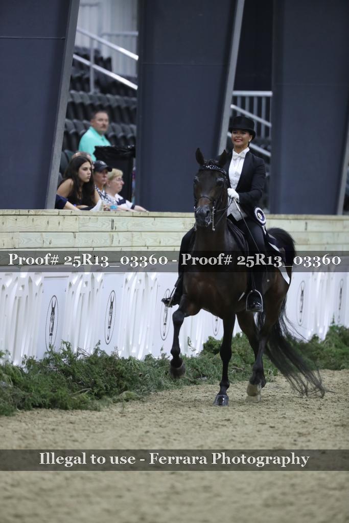 Proof Number 25R13_03360