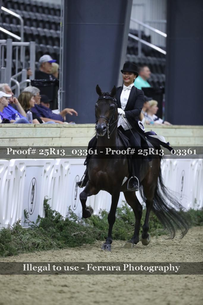 Proof Number 25R13_03361