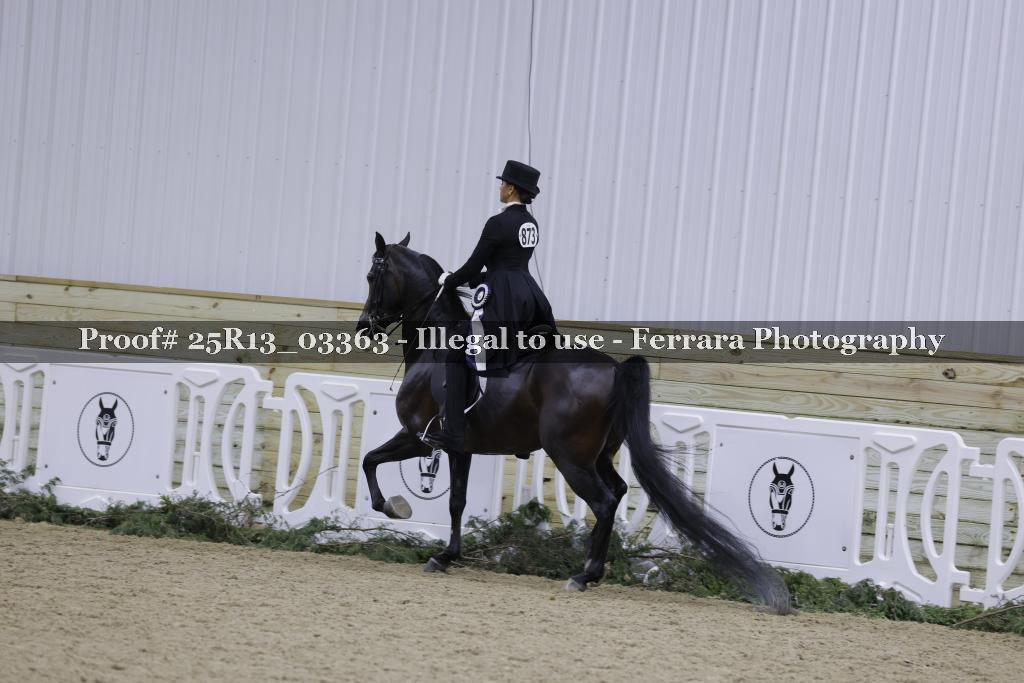 Proof Number 25R13_03363