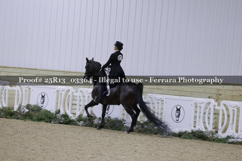Proof Number 25R13_03364