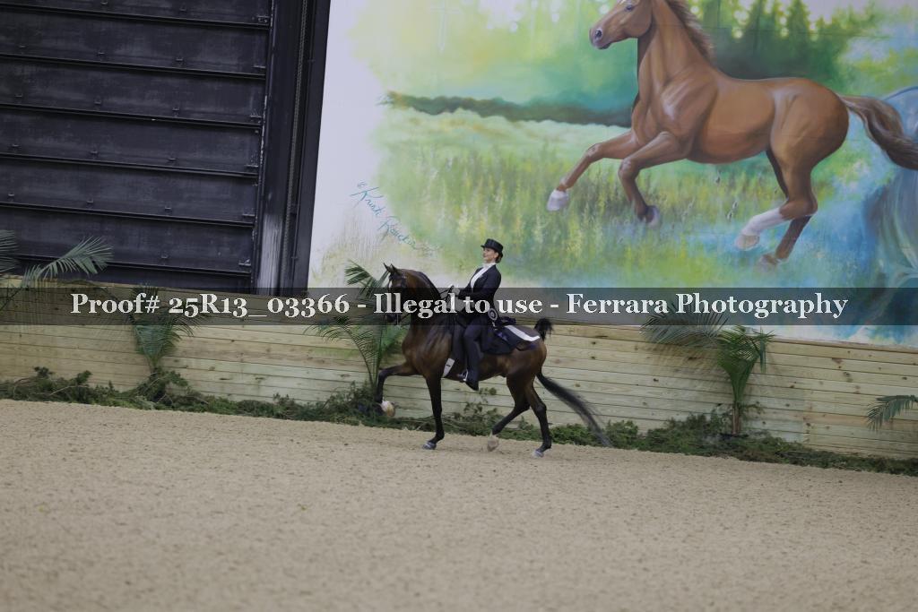 Proof Number 25R13_03366